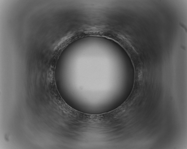 X0000103401350200809191511