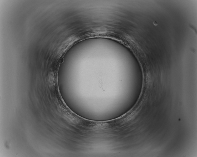 X0000103401353200809191511