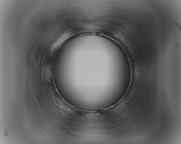 X0000103401354200809191511