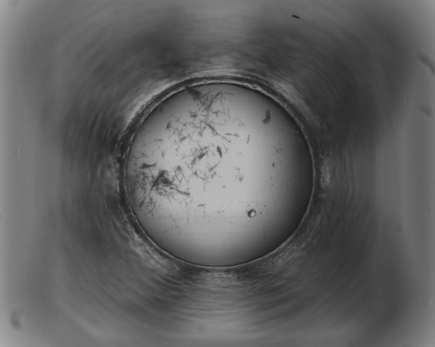 X0000103401356200809191511