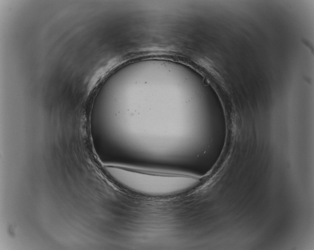 X0000103401357200809191511