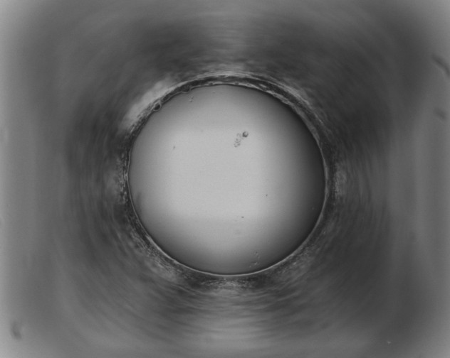 X0000103401359200809191511