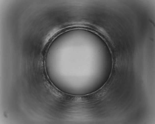 X0000103401360200809191511