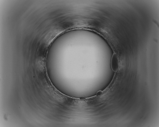 X0000103401361200809191511