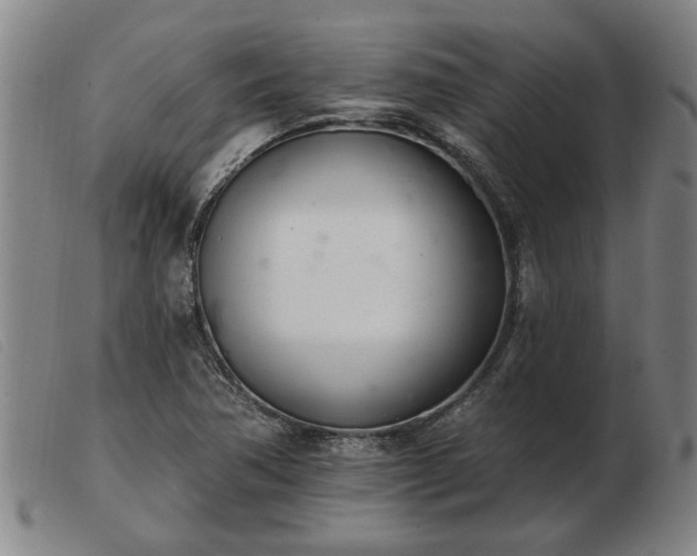 X0000103401362200809191511