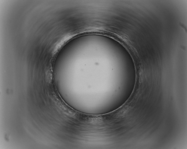 X0000103401363200809191511