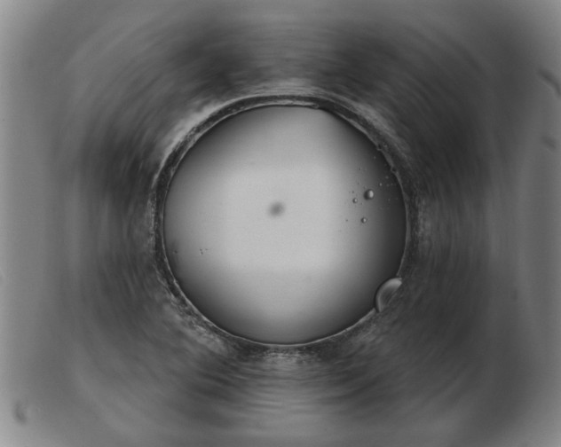 X0000103401364200809191511