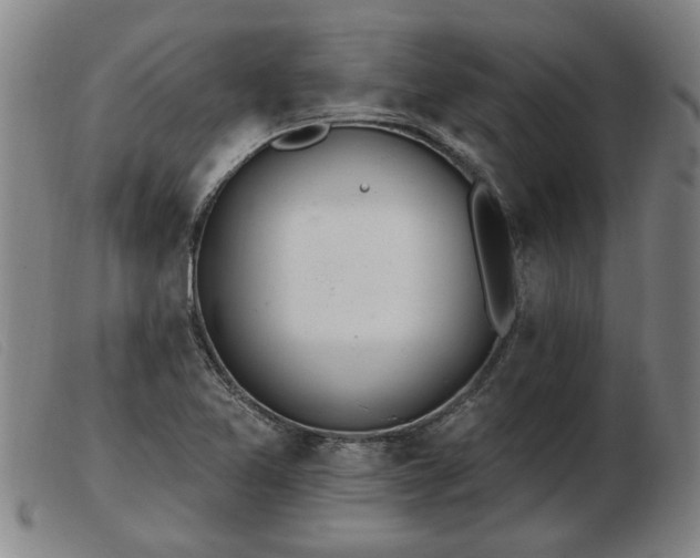 X0000103401365200809191511