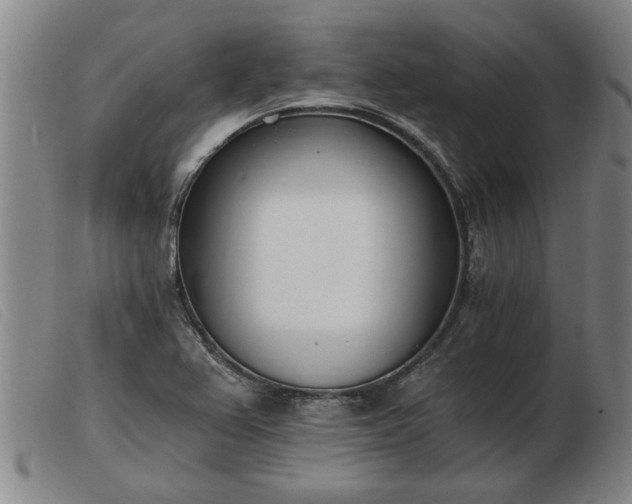 X0000103401367200809191511