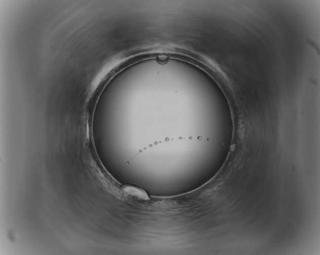 X0000103401368200809191511