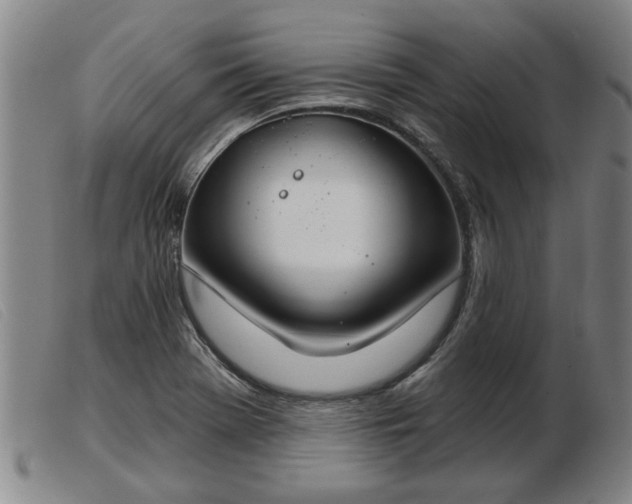 X0000103401369200809191511