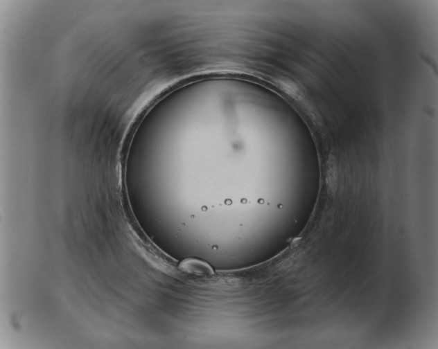 X0000103401372200809191511