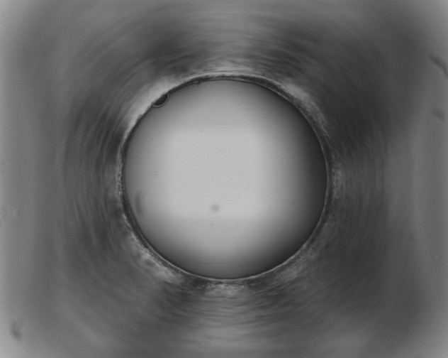 X0000103401374200809191511