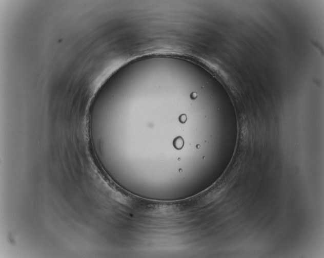 X0000103401375200809191511