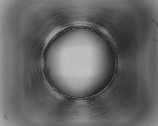 X0000103401376200809191511