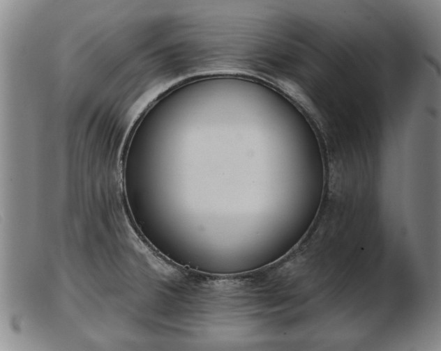 X0000103401380200809191511