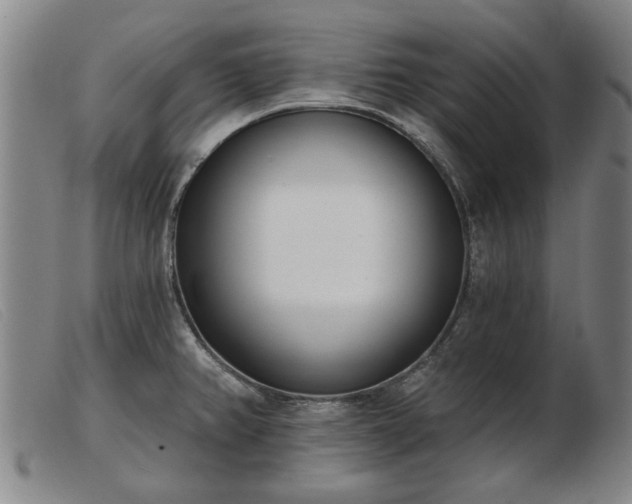 X0000103401382200809191511