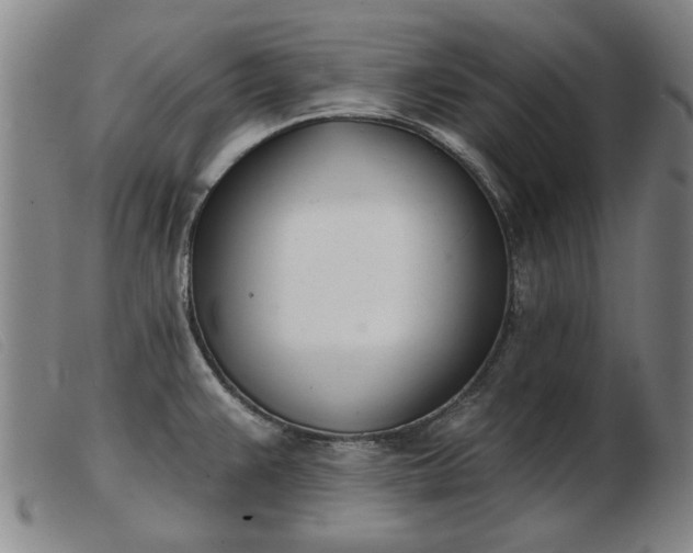 X0000103401383200809191511