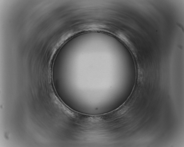 X0000103401384200809191511