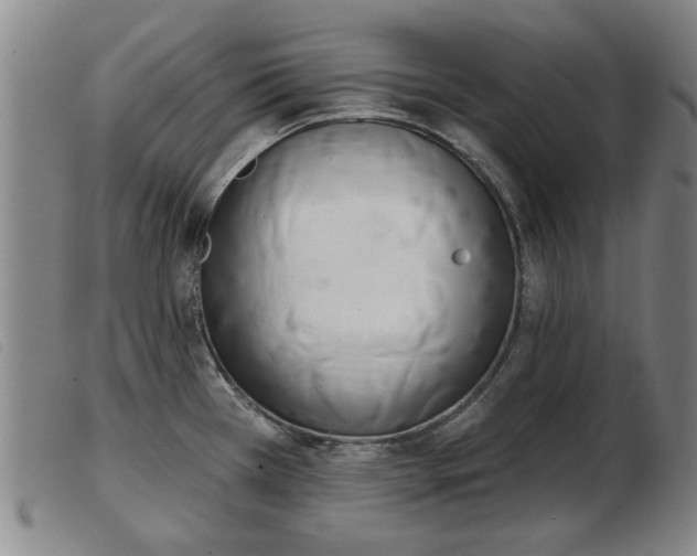 X0000103401385200809191511