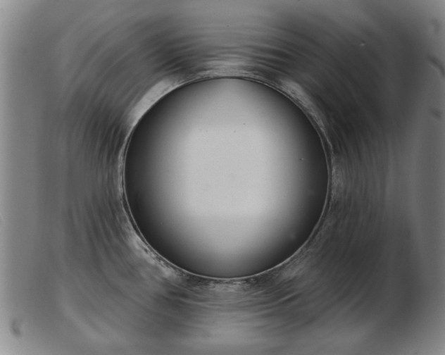 X0000103401386200809191511