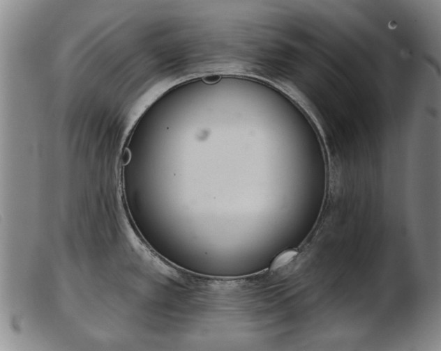 X0000103401389200809191511