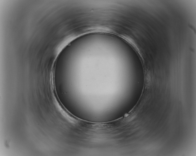 X0000103401391200809191511