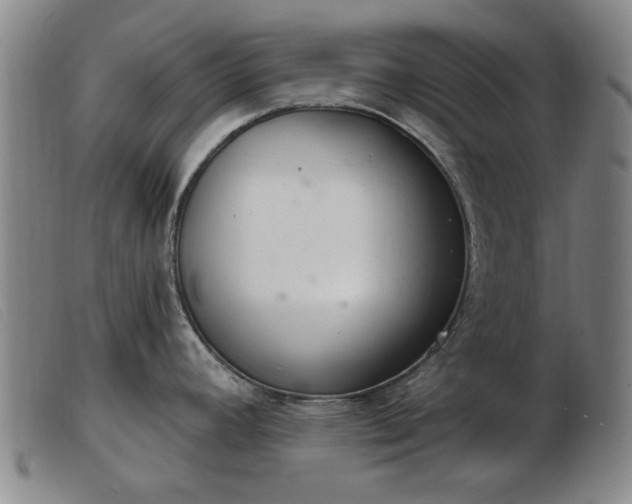 X0000103401392200809191511