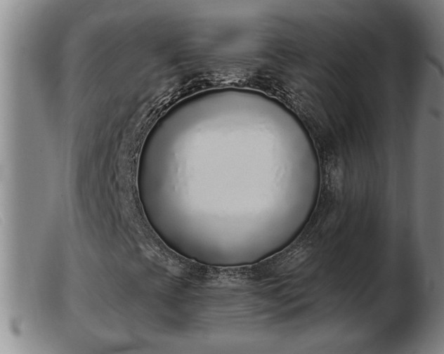 X0000103401393200809191510