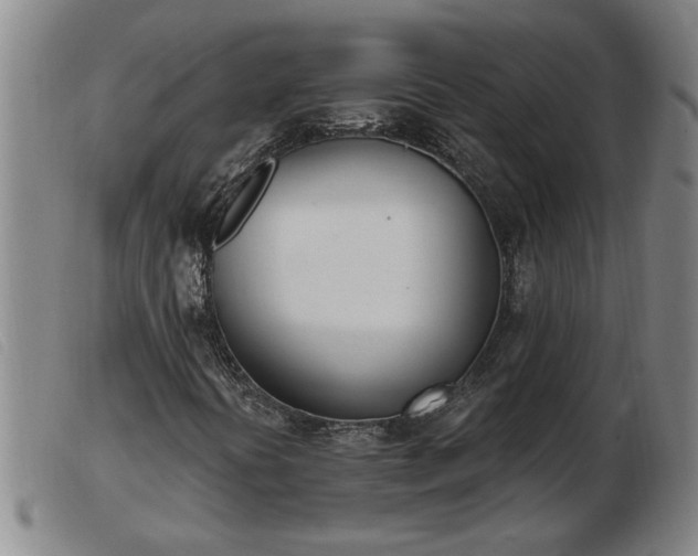 X0000103401394200809191510