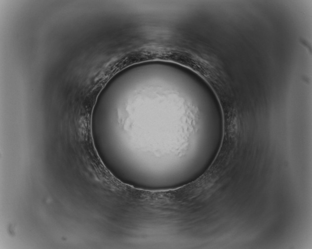 X0000103401397200809191510