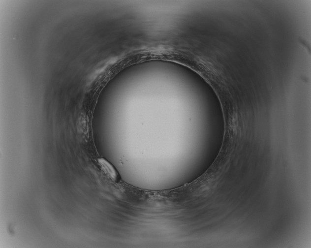 X0000103401398200809191510