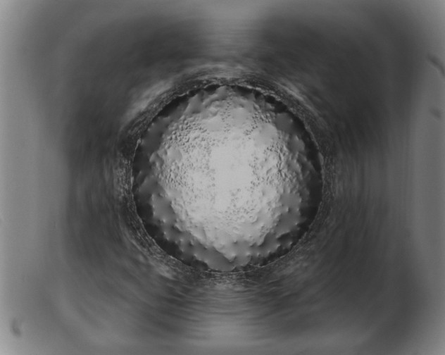 X0000103401399200809191510