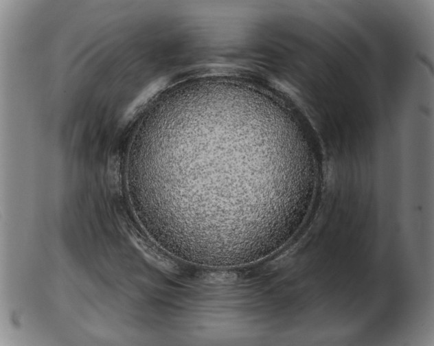 X0000103401403200809191510