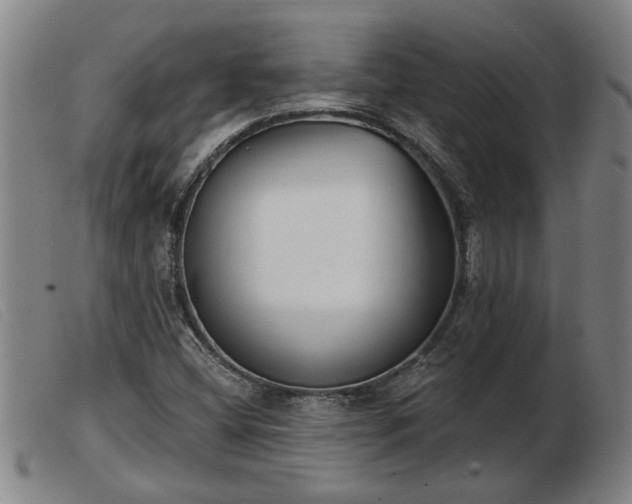 X0000103401404200809191510