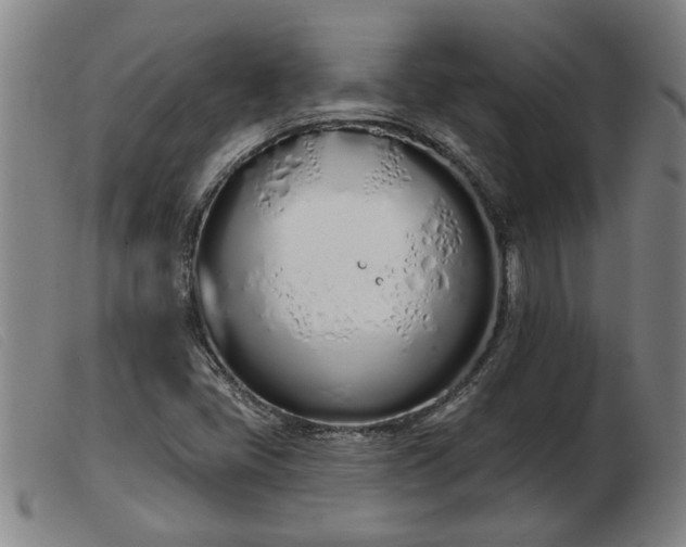 X0000103401405200809191510