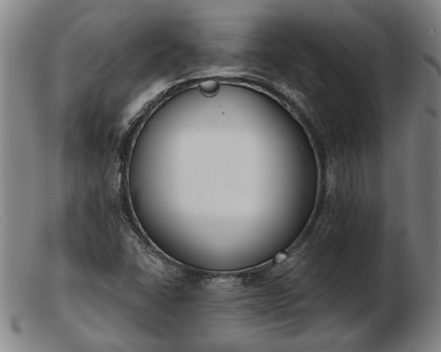 X0000103401406200809191510