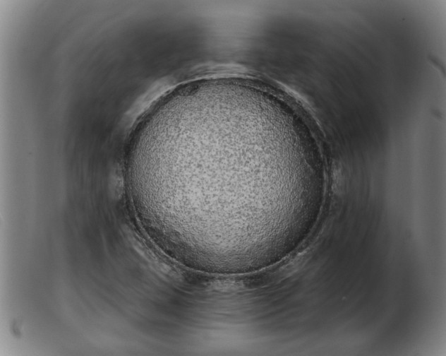 X0000103401407200809191510