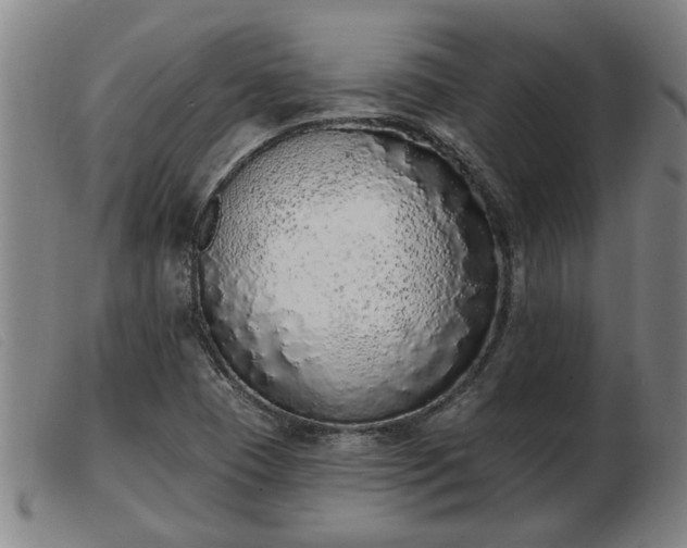 X0000103401409200809191510