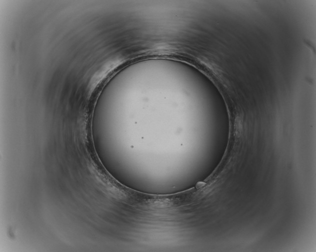 X0000103401410200809191510