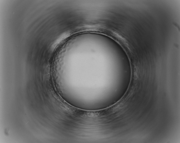 X0000103401411200809191510