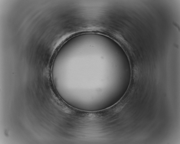 X0000103401412200809191510