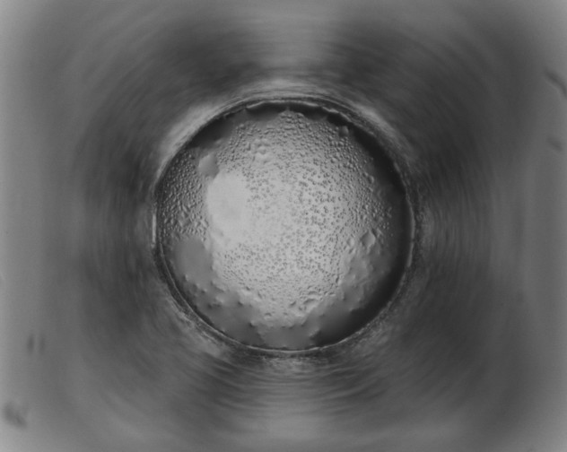 X0000103401413200809191510