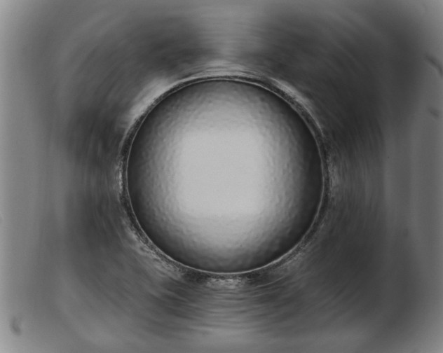 X0000103401415200809191510