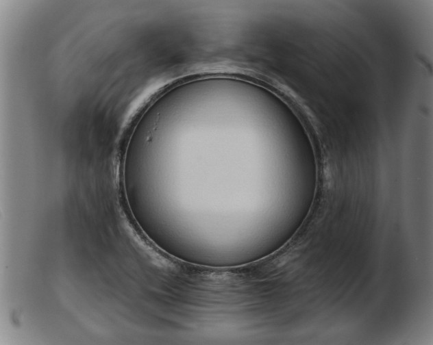 X0000103401416200809191510