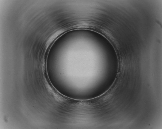 X0000103401418200809191510