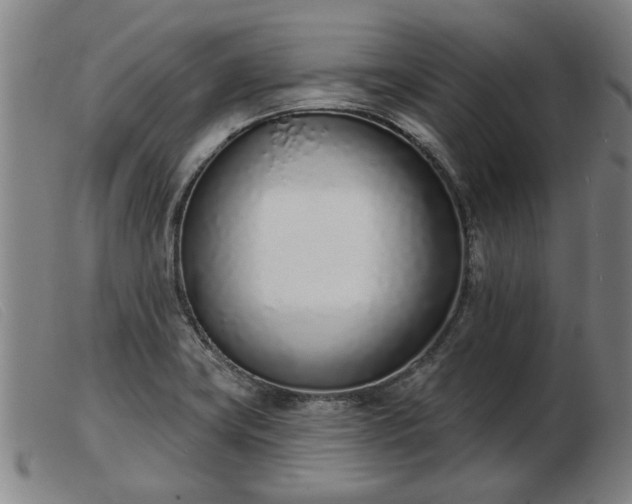 X0000103401419200809191510