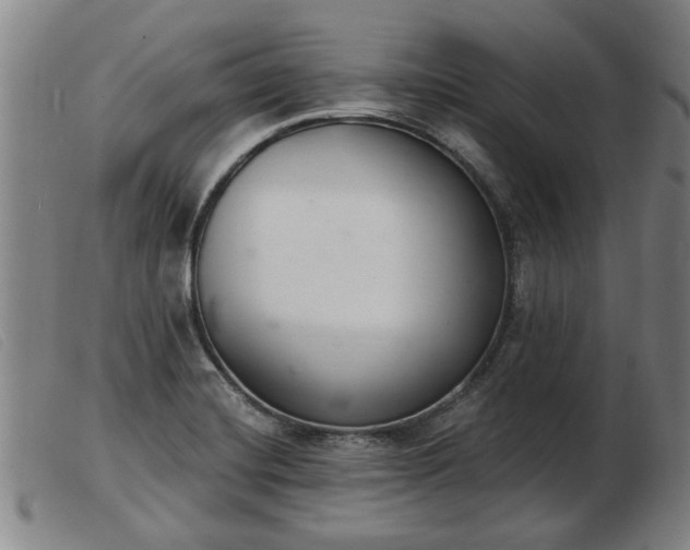 X0000103401420200809191510