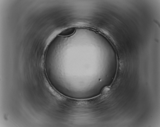 X0000103401421200809191510