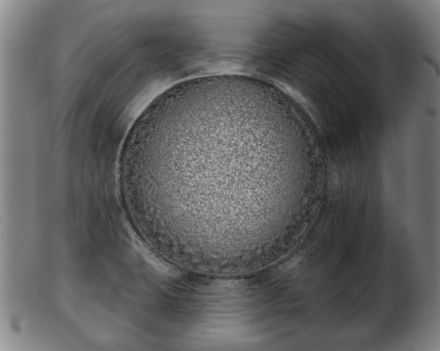 X0000103401423200809191510